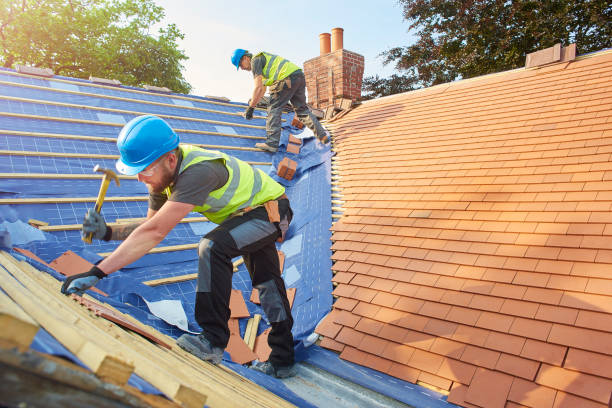 Best Roofing for New Construction  in Riverdale, IL